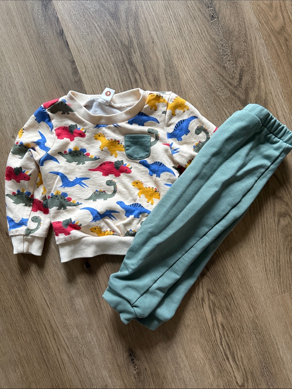 Two piece toddler dinosaur matching set